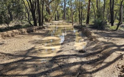 Julimar Forest Day Trip