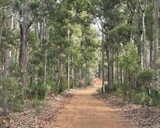Nannup Bonfire Trip