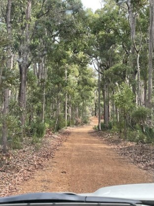 Nannup Bonfire Trip