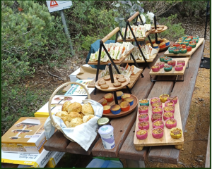 Bush High Tea 2025
