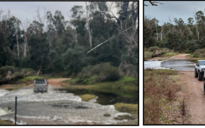 Nannup BonFire and Lewana Trip